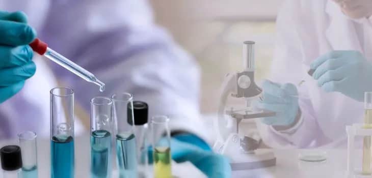 Jakie studia po rozszerzonej biologii? Odkryj najlepsze kierunki!