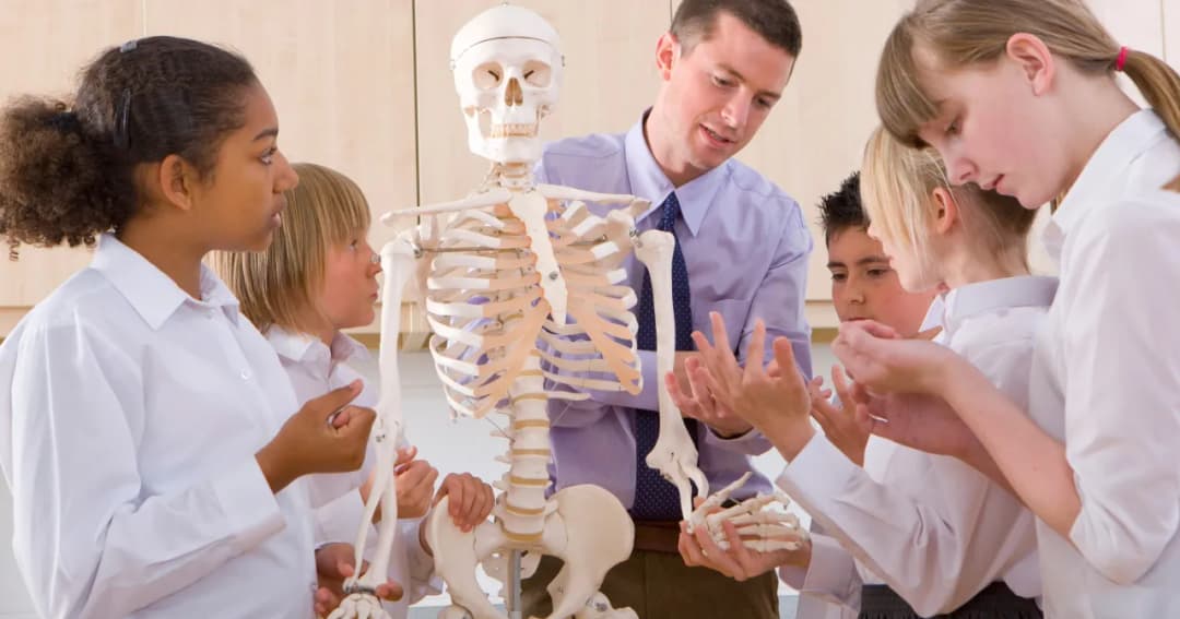 Kiedy biologia rozszerzona? Sprawdź ważne daty i szczegóły egzaminu