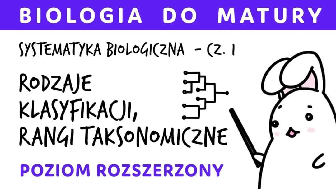 Co to jest systematyka w biologii i dlaczego jest tak ważna?